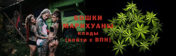крисы Бородино