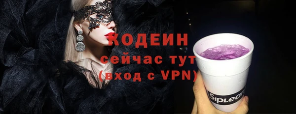 крисы Бородино