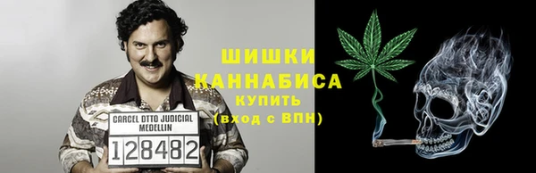 ГАЛЛЮЦИНОГЕННЫЕ ГРИБЫ Верея