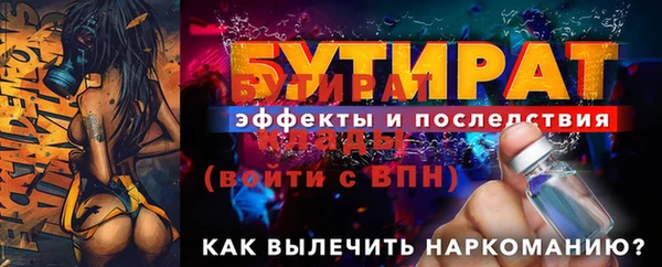крисы Бородино