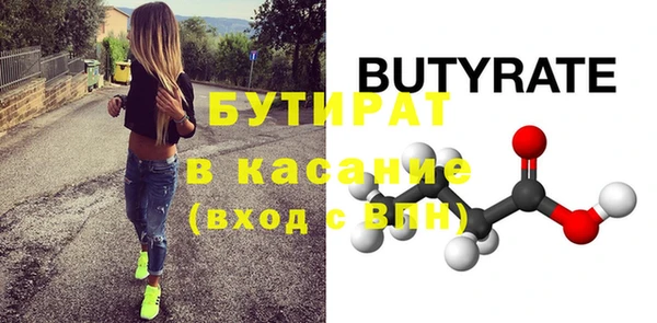 крисы Бородино