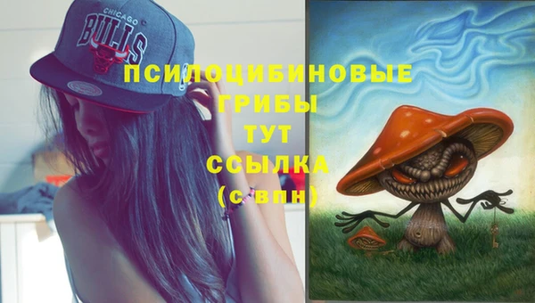 ГАЛЛЮЦИНОГЕННЫЕ ГРИБЫ Верея