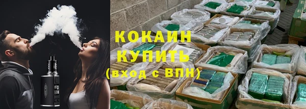 ГАЛЛЮЦИНОГЕННЫЕ ГРИБЫ Верея