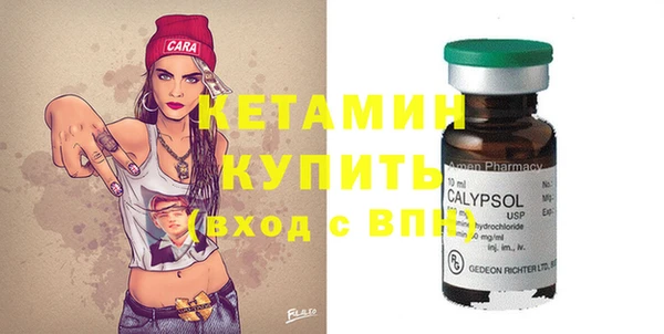 крисы Бородино