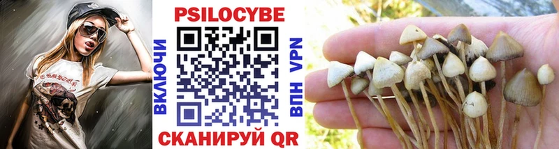 Галлюциногенные грибы прущие грибы  Гуково 